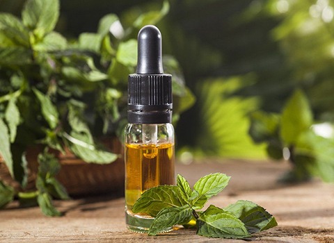تصویر 3 از خرید اسانس طبیعی نعنا + قیمت فروش استثنایی